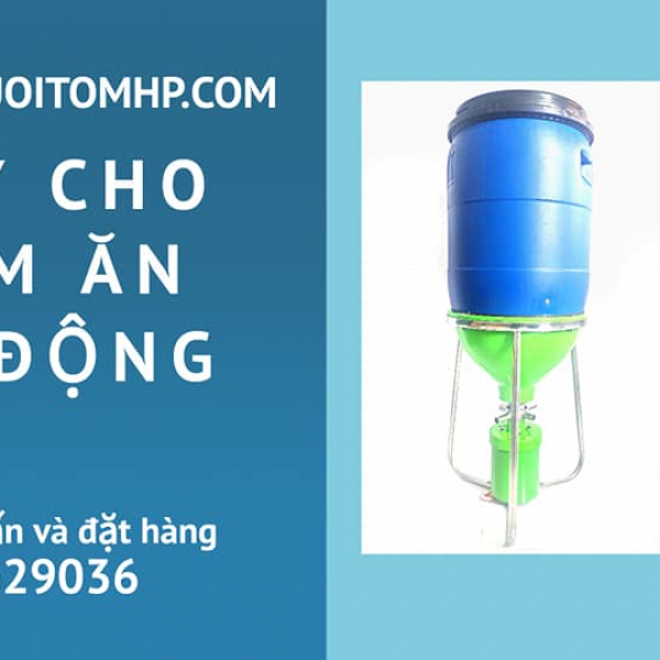 MÁY CHO TÔM ĂN TỰ ĐỘNG